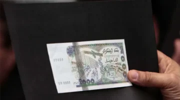 تفاوت أسعار الصرف يدفع الدينار الجزائري نحو انهيار سريع